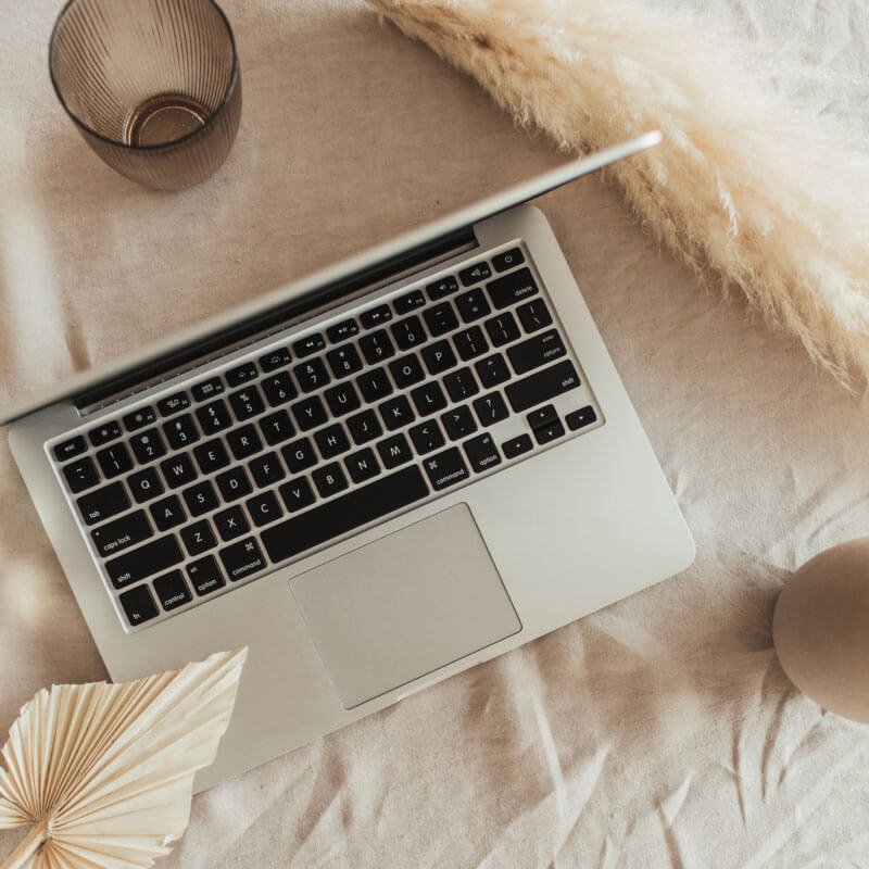 Hattie_Services450 (1)